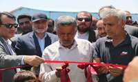 زمین چمن مصنوعی بزرگترین روستای شهرستان دیر به بهره برداری رسید