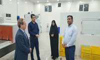 بازدید فرماندار دیّر از شهرک صنعتی تنگ‌خوش و بررسی روند فعالیت واحدهای تولیدی