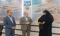 تقدیر فرماندار دیر از بانوی نیک‌اندیش و مسئولیت‌پذیر دیری